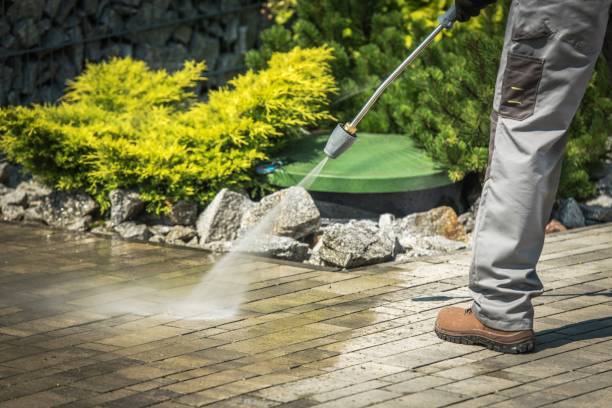 Best Sidewalk and Walkway Cleaning  in Madison Heights, VA