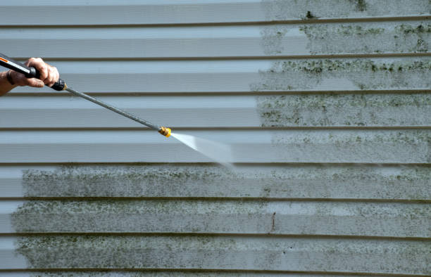 Best Dumpster Area Cleaning  in Madison Heights, VA