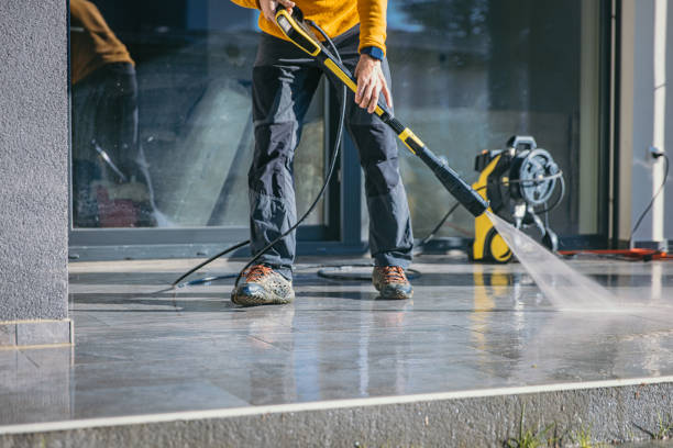 Best Animal Enclosure Cleaning  in Madison Heights, VA